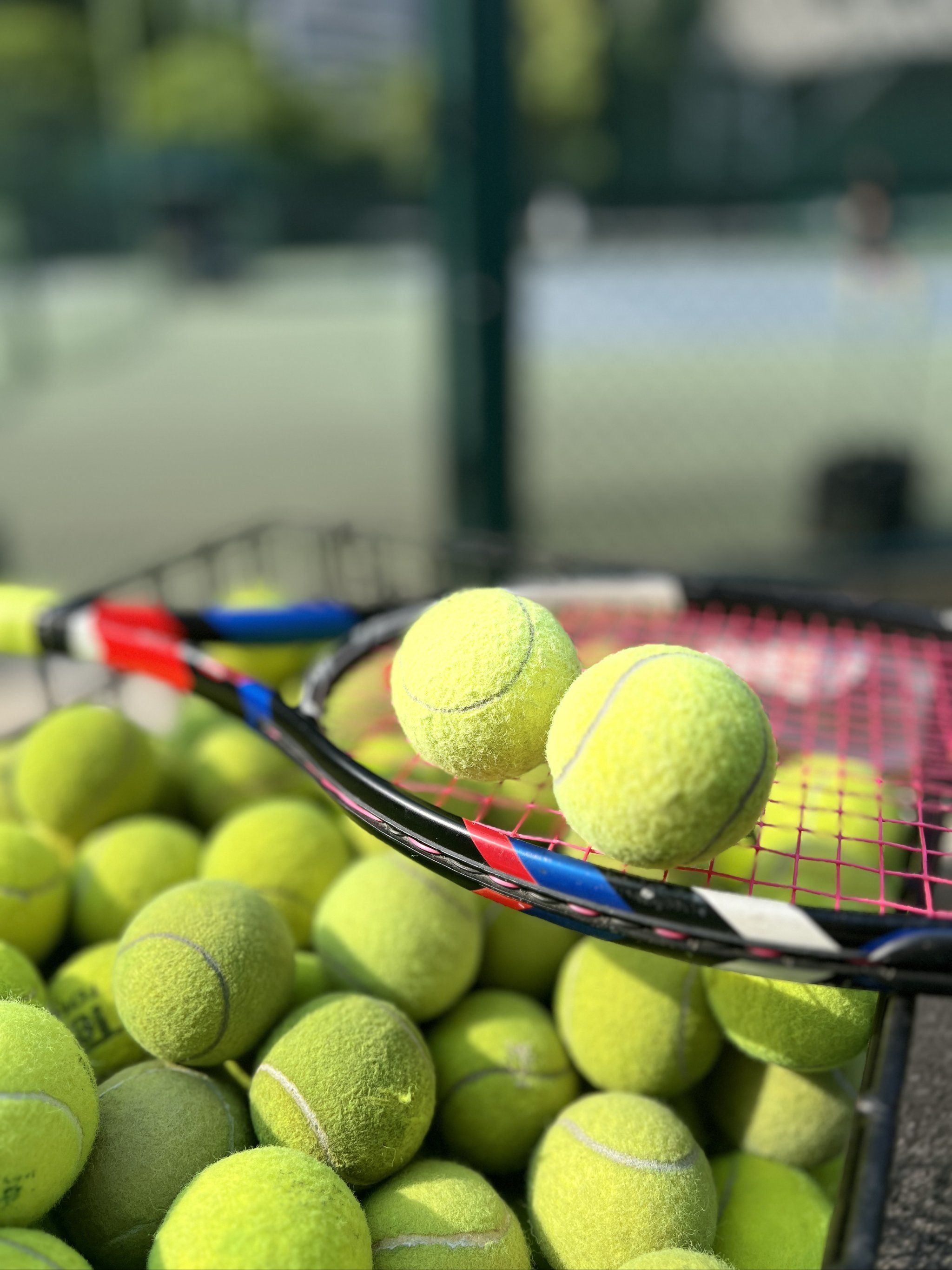 通过他的故 通过他的故